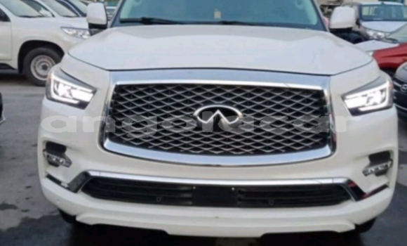 Buy Used Infiniti QX80 White Car in Luanda in Luanda Province