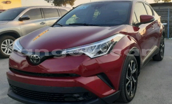 Comprar Usado Toyota C-HR Vermelho Carro em Luanda em Luanda Province Comprar Usado Toyota C-HR Vermelho Carro em Luanda em Luanda Province