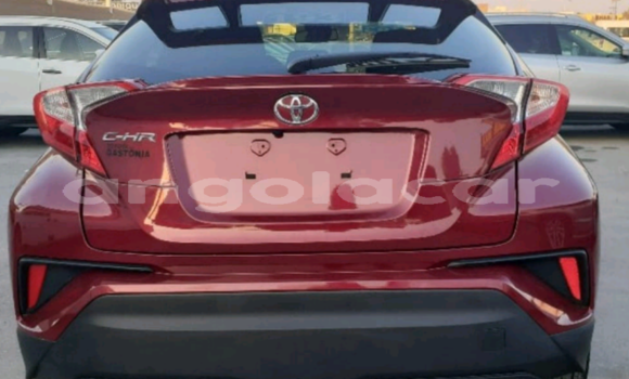 Comprar Usado Toyota C-HR Vermelho Carro em Luanda em Luanda Province Comprar Usado Toyota C-HR Vermelho Carro em Luanda em Luanda Province