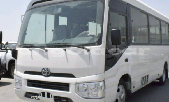 Comprar Usado Toyota Coaster Branco Carro em Luanda em Luanda Province Comprar Usado Toyota Coaster Branco Carro em Luanda em Luanda Province