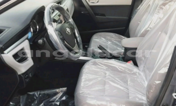 Comprar Importar Toyota Corolla Outro Carro em Luanda em Luanda Province Comprar Importar Toyota Corolla Outro Carro em Luanda em Luanda Province