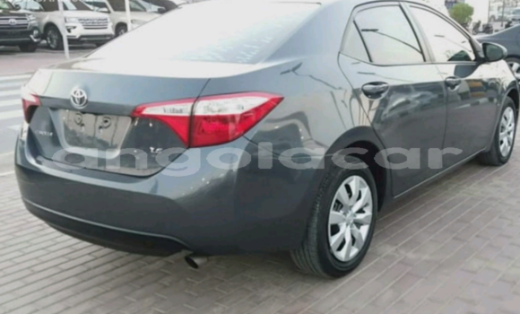 Comprar Importar Toyota Corolla Outro Carro em Luanda em Luanda Province Comprar Importar Toyota Corolla Outro Carro em Luanda em Luanda Province