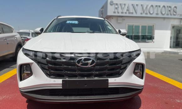 Comprar Novo Hyundai Tucson Branco Carro em Luanda em Luanda Province Comprar Novo Hyundai Tucson Branco Carro em Luanda em Luanda Province