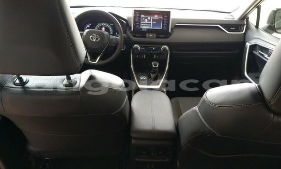 Buy Used Toyota RAV4 Silver Car in Luanda in Luanda Province Buy Used Toyota RAV4 Silver Car in Luanda in Luanda Province