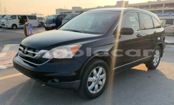 Comprar Usado Honda CR–V Outro Carro em Luanda em Luanda Province Comprar Usado Honda CR–V Outro Carro em Luanda em Luanda Province