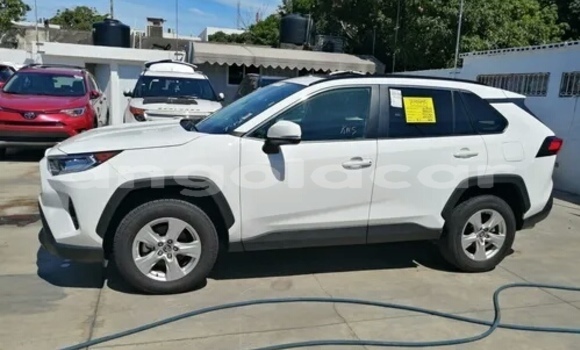Buy Used Toyota RAV4 White Car in Luanda in Luanda Province Buy Used Toyota RAV4 White Car in Luanda in Luanda Province