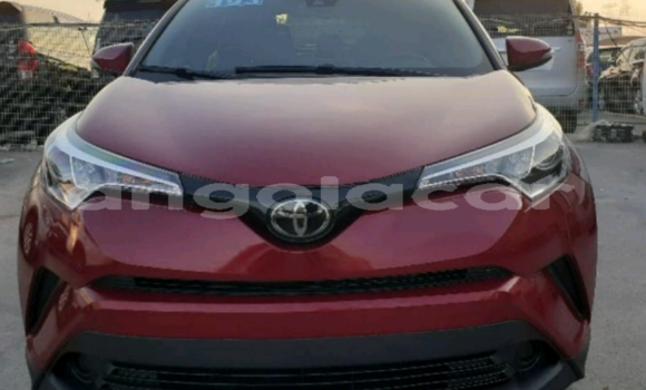 Buy Used Toyota C-HR Red Car in Luanda in Luanda Province