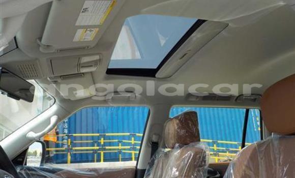 Buy Used Infiniti QX80 Other Car in Luena in Moxico Buy Used Infiniti QX80 Other Car in Luena in Moxico