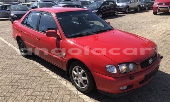Buy Used Toyota Corolla Red Car in Luanda in Luanda Province Buy Used Toyota Corolla Red Car in Luanda in Luanda Province