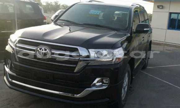Comprar Usado Toyota Land Cruiser Preto Carro em Luena em Moxico