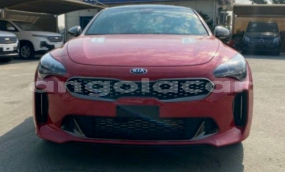 Comprar Usado Kia Stinger Vermelho Carro em Moçâmedes em Namibe Province Comprar Usado Kia Stinger Vermelho Carro em Moçâmedes em Namibe Province