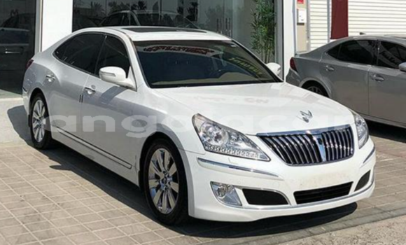 Buy Used Hyundai Centennial White Car in Huambo in Huambo Buy Used Hyundai Centennial White Car in Huambo in Huambo