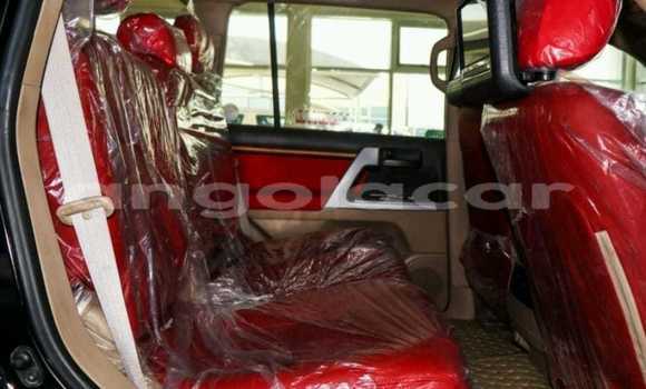 Comprar Usado Toyota Land Cruiser Preto Carro em Luena em Moxico Comprar Usado Toyota Land Cruiser Preto Carro em Luena em Moxico