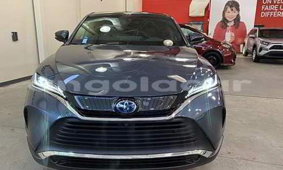 Buy Used Toyota Venza Other Car in Luena in Moxico Buy Used Toyota Venza Other Car in Luena in Moxico
