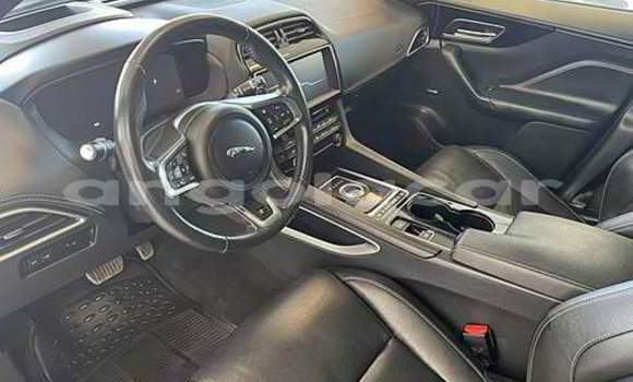 Comprar Usado Jaguar F-Pace Preto Carro em Luena em Moxico Comprar Usado Jaguar F-Pace Preto Carro em Luena em Moxico