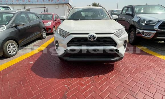 Acheter Neuf Voiture Toyota RAV4 Blanc à Luanda, Province de Luanda Acheter Neuf Voiture Toyota RAV4 Blanc à Luanda, Province de Luanda