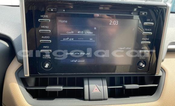 Buy New Toyota RAV4 White Car in Luanda in Luanda Province Buy New Toyota RAV4 White Car in Luanda in Luanda Province