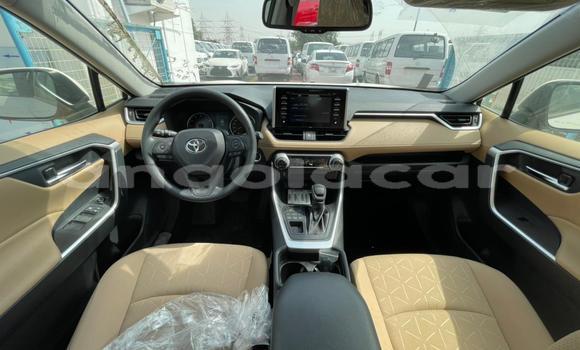 Buy New Toyota RAV4 White Car in Luanda in Luanda Province Buy New Toyota RAV4 White Car in Luanda in Luanda Province