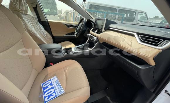 Buy New Toyota RAV4 White Car in Luanda in Luanda Province Buy New Toyota RAV4 White Car in Luanda in Luanda Province