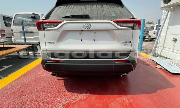 Buy New Toyota RAV4 White Car in Luanda in Luanda Province Buy New Toyota RAV4 White Car in Luanda in Luanda Province