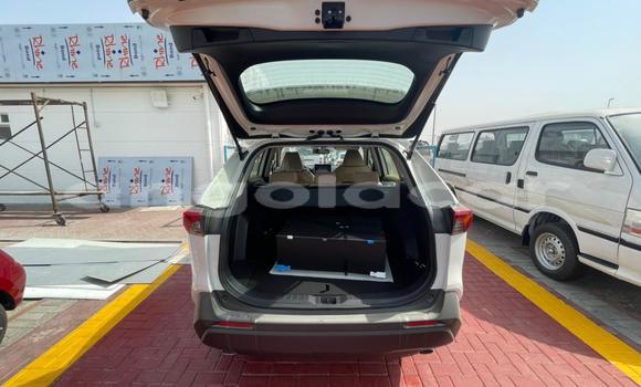 Buy New Toyota RAV4 White Car in Luanda in Luanda Province Buy New Toyota RAV4 White Car in Luanda in Luanda Province