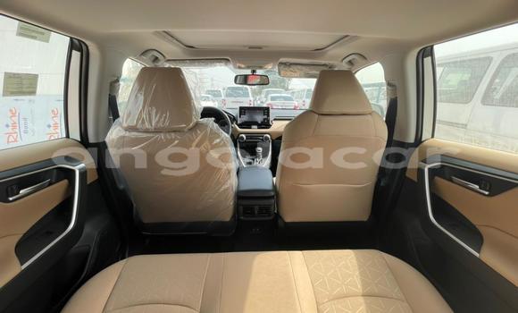Buy New Toyota RAV4 White Car in Luanda in Luanda Province Buy New Toyota RAV4 White Car in Luanda in Luanda Province