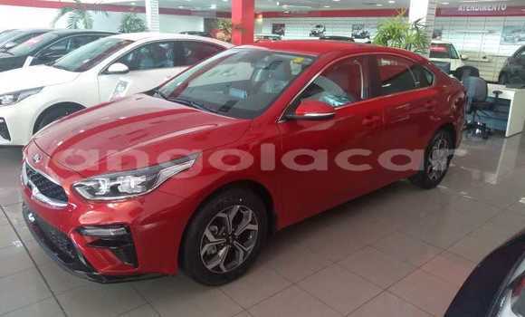 Acheter Occasion Voiture Kia Cerato Rouge à Benguela, Benguela Acheter Occasion Voiture Kia Cerato Rouge à Benguela, Benguela