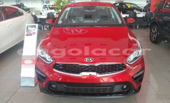 Comprar Usado Kia Cerato Vermelho Carro em Benguela em Benguela Comprar Usado Kia Cerato Vermelho Carro em Benguela em Benguela