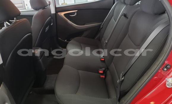 Buy Used Hyundai Elantra Red Car in Benguela in Benguela Buy Used Hyundai Elantra Red Car in Benguela in Benguela