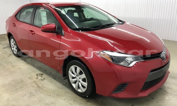 Buy Used Toyota Corolla Other Car in Luanda in Luanda Province Buy Used Toyota Corolla Other Car in Luanda in Luanda Province