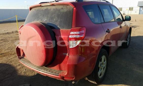 Buy Used Toyota RAV4 Red Car in Benguela in Benguela Buy Used Toyota RAV4 Red Car in Benguela in Benguela