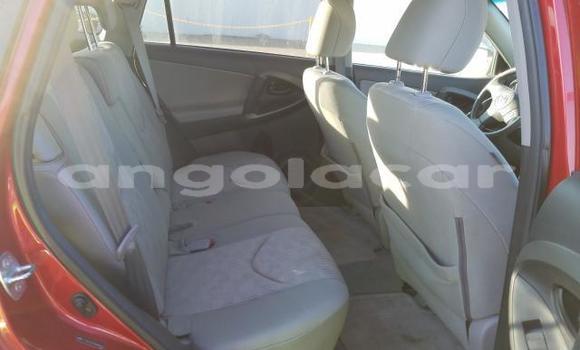 Buy Used Toyota RAV4 Red Car in Benguela in Benguela Buy Used Toyota RAV4 Red Car in Benguela in Benguela