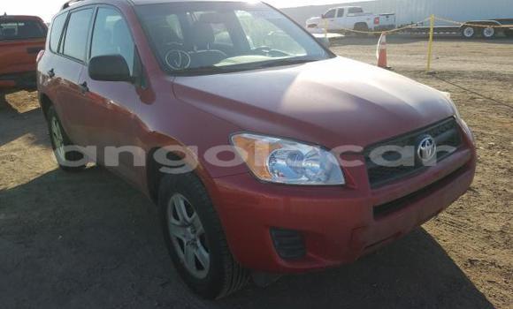 Buy Used Toyota RAV4 Red Car in Benguela in Benguela Buy Used Toyota RAV4 Red Car in Benguela in Benguela