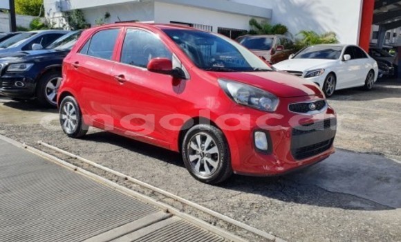 Buy Used Kia Picanto Red Car in Luanda in Luanda Province Buy Used Kia Picanto Red Car in Luanda in Luanda Province
