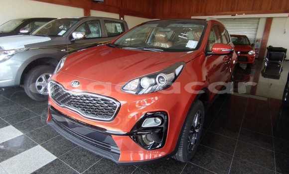 Buy New Kia Sportage Brown Car in Luanda in Luanda Province