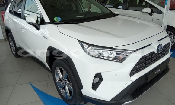 Buy Used Toyota RAV4 White Car in Benguela in Benguela Buy Used Toyota RAV4 White Car in Benguela in Benguela