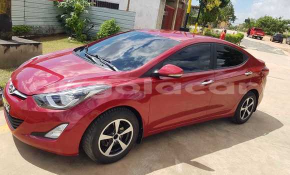 Buy Used Hyundai Elantra Red Car in N'zeto in Zaire