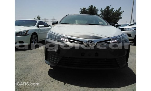 Buy Import Toyota Corolla Other Car in Import - Dubai in Bengo Province Buy Import Toyota Corolla Other Car in Import - Dubai in Bengo Province