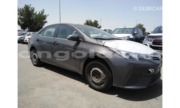 Buy Import Toyota Corolla Other Car in Import - Dubai in Bengo Province Buy Import Toyota Corolla Other Car in Import - Dubai in Bengo Province
