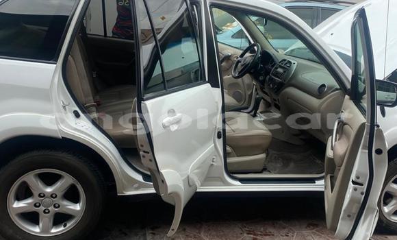 Comprar Usado Toyota RAV4 Marrom Carro em Moçâmedes em Namibe Province Comprar Usado Toyota RAV4 Marrom Carro em Moçâmedes em Namibe Province