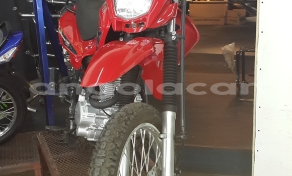 Buy New Vyrus 987 C3 4V Red Bike in Luanda in Luanda Province Buy New Vyrus 987 C3 4V Red Bike in Luanda in Luanda Province