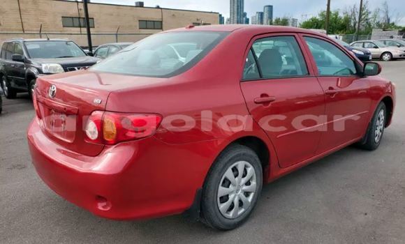 Comprar Usado Toyota Corolla II Vermelho Carro em Luanda em Luanda Province Comprar Usado Toyota Corolla II Vermelho Carro em Luanda em Luanda Province