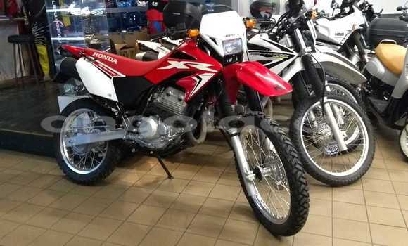 Buy Used Honda XR Red Bike in Luanda in Luanda Province Buy Used Honda XR Red Bike in Luanda in Luanda Province