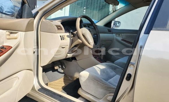 Acheter Occasion Voiture Toyota Corolla Gris à Caxito, Bengo Acheter Occasion Voiture Toyota Corolla Gris à Caxito, Bengo