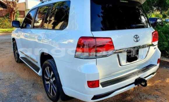 Buy Used Toyota Land Cruiser White Car in Menongue in Kuando Kubango Buy Used Toyota Land Cruiser White Car in Menongue in Kuando Kubango