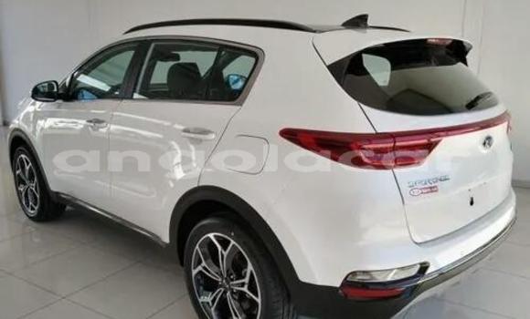 Buy Used Kia Sportage White Car in Soyo in Zaire Buy Used Kia Sportage White Car in Soyo in Zaire