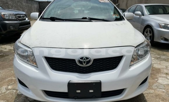 Comprar Usado Toyota Corolla Branco Carro em Luena em Moxico Comprar Usado Toyota Corolla Branco Carro em Luena em Moxico