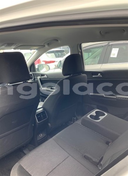 Big with watermark kia sportage moxico luena 13869