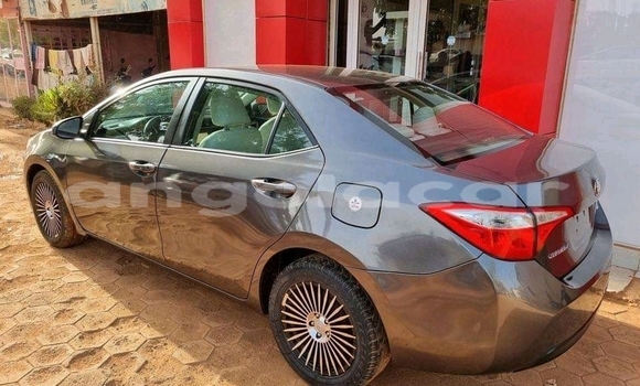 Comprar Usado Toyota Corolla Outro Carro em Caala em Huambo Comprar Usado Toyota Corolla Outro Carro em Caala em Huambo