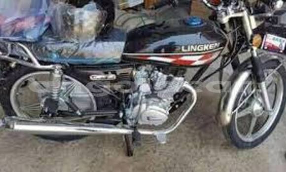 Comprar Novo Lifan ELITE Preto Moto em Luanda em Luanda Province